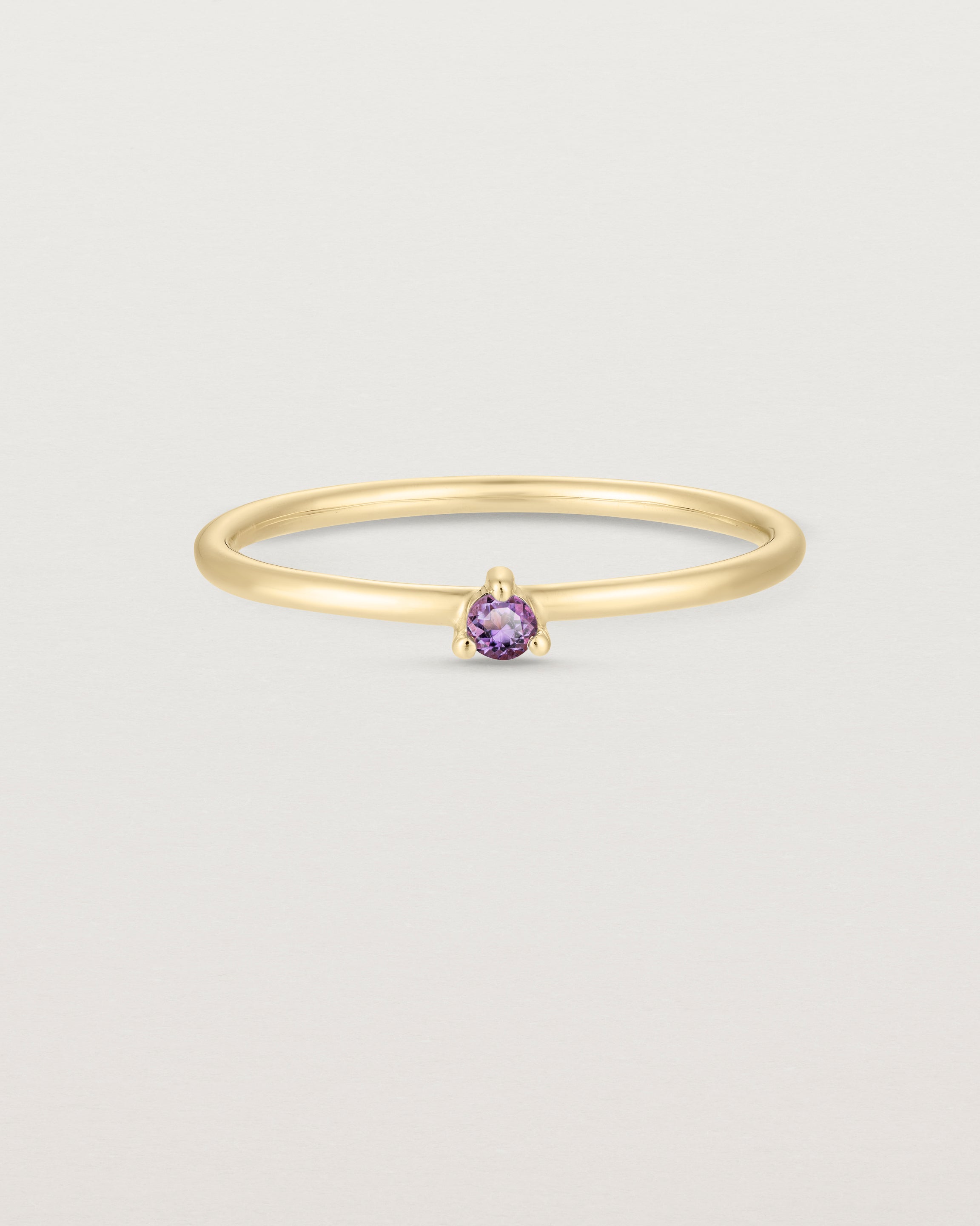 Front facing deep etched image of a yellow gold ring with an amethyst birthstone.