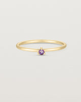 Front facing deep etched image of a yellow gold ring with an amethyst birthstone.