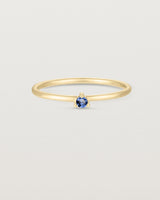 Front facing deep etched image of a yellow gold ring with a blue sapphire birthstone.