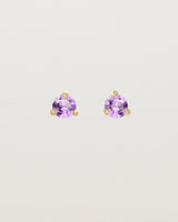 Front facing deep etched image of a pair of yellow gold earrings with an amethyst birthstone.