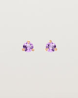 Front facing deep etched image of a pair of rose gold earrings with an amethyst birthstone.