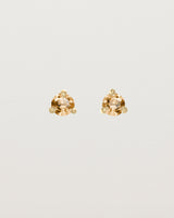 Front facing deep etched image of a pair of yellow gold earrings with a citrine birthstone.