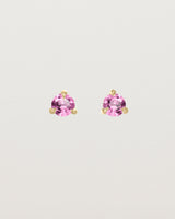 Front facing deep etched image of a pair of yellow gold earrings with a pink tourmaline birthstone.