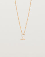 Pulled back front image of Terra Chain Necklace in rose gold