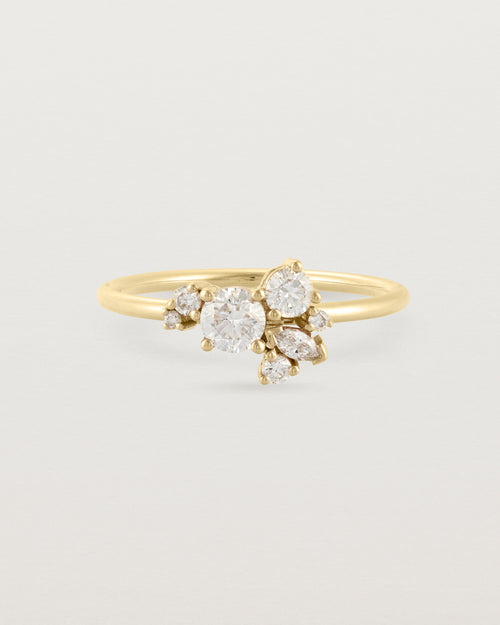 Shop Engagement Rings | Solitaire & Gold Rings | Natalie Marie Jewellery