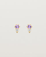 Front facing deep etched image of a pair of yellow gold earrings with amethyst birthstones and diamonds.