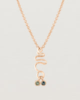 Front on deep etched image of a rose gold necklace with birthstone charms.